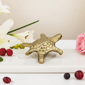 Brass Showpiece Tortoise, Turtle [Kachua] Small Statue
