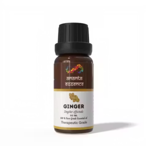 Ginger Essential Oil 10 ml – Pure Aroma Oil for Potpourri & Candle Use