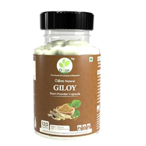 ODON NATURALS Giloy Stem Powder Capsules 120 Count  Ayurvedic Daily Health Booster for Men & Women
