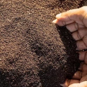 Vermi Compost (1Kg) – 100% Pure Natural Vermi Compost for All Plants | Organic Manure & Fertilizer (Khad)