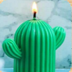 Handmade Cactus Candle Aromatherapy Soy Wax (pack of 1)