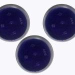 SKRANGOLI POWDER, Navy Blue, Pack of 3
