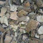 Natural Coconut Shell Pieces for Pooja Homam and Cooking Fire, 1 kg