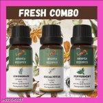 Fresh Aroma Essential Oil Combo for Aromatherapy & Home Fragrance