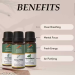 Fresh Aroma Essential Oil Combo for Aromatherapy & Home Fragrance