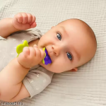 Pack of 3 Fruit Style Teether for Babies | Soft & Easy Hold