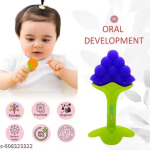 Pack of 3 Baby Teether in Fruit Shape Design (Soft Silicone)