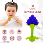 Pack of 3 Baby Silicone Fruit Teether | Lightweight & Flexible
