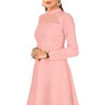 Maroon Solid Mock Neck Long Sleeves A-Line Dress