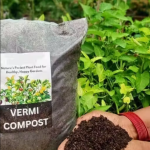 Vermi Compost (2Kg) – 100% Pure Natural Vermicompost for All Plants | Organic Manure & Fertilizer