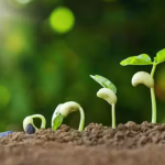 Vermi Compost (1Kg) 100% Pure Natural Varmi Compost for All Plant Manure, Fertilizer (khad)