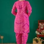 Rani Radiance Embroidered Kurta Pant Set