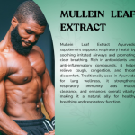 MULLEIN LEAF EXTRACT CAPSULE - 60 CAPSULE (BUY ONE GET SAME 50ML DROPS FREE)
