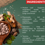 MULLEIN LEAF EXTRACT CAPSULE - 60 CAPSULE (BUY ONE GET SAME 50ML DROPS FREE)