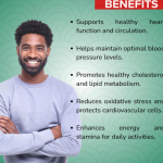 ADISHAKTI TRADING Cardiorich Capsule - 60 Capsuless (Get One Bottle 50ml Cardiorich Drops Free)