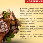 NONI DROPS - 50ML (BUY ONE GET SAME 50ML DROPS FREE)