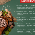 BURDOCK DROPS - 50ML (BUY ONE GET SAME 50ML DROPS FREE)