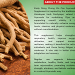 KASLY DONG CHONG XIA CAO CAPSULES - 60 CAPSULES (BUY ONE GET SAME 50ML DROPS FREE)