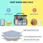 Lunch Box Bag Random Color