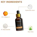 Charcoal Face Wash + Vitamin C Serum + Lip Balm with SPF 15