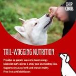 Chip Chops Fish on Stick Dog Treats – Highly Nutritious, Easily Digestible, Snacking & Rewards for All Dog Breeds