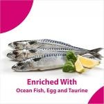 Maxi Ocean Fish Adult Dry Cat Food