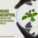 Kapiva Ashwagandha Gold Capsules  90 caps