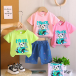 Imported T-Shirt with Denim Embroidered Bottoms