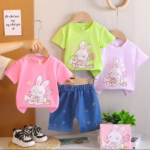 Imported T-Shirt with Denim Embroidered Bottoms