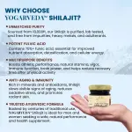 Yogarveda Pure Himalayan Shilajit Resin 20G 100% Ayurvedic Energy And Immunity Booster (20 G)”