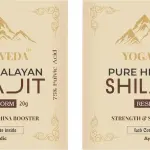 Yogarveda Pure Himalayan Shilajit Resin 20G 100% Ayurvedic Energy And Immunity Booster (20 G)”