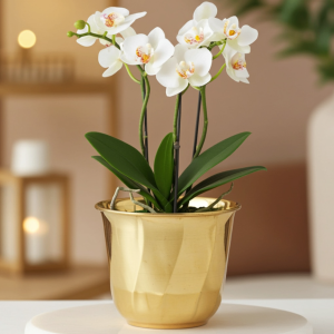Brass Home Decorative Planter Gamla – Luxury Finish