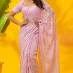 Pure Hand-Embroidered Lucknowi  Saree