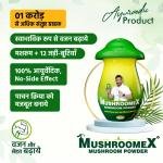 Mushroomex 100 Gram Mushroom Powder Ayurvedic Weight Gainer for Men Women and Adults with Natural Ingredients to Improve Stamina, Appetite and Overall Wellness (Pack of 1)