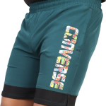 Green Lycra Blend Polyester Solid Shorts For Men