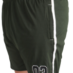 Green Lycra Blend Polyester Elasticated Solid Shorts For Men