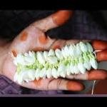 Cotton Thread for Craft, Pooja, Kite Making and Flower Sewing, White, Pack of 10