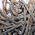 Pipal Tree Sticks for Homam and Pooja Rituals, 480 Grams(ARASAMARAM Kuchi)