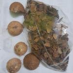 Natural Coconut Shell Pieces for Pooja Homam and Cooking Fire, 1 kg