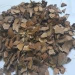 Natural Coconut Shell Pieces for Pooja Homam and Cooking Fire, 1 kg