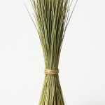 Kusha Grass Bundle for pujanpurification 5 Piece Free with 5 Ring