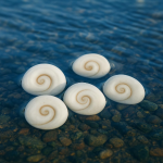 Spiritual Puja Set - 5 g Kamiya Sindoor, 2 Kali Haldi, 5 Gomati Chakra Stones & 3" Brass Sri Yantra for Wealth, Health & Protection