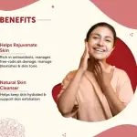 Appu Naturals Rose Petal Powder - 100g | Antioxidant Support To Revitalize Skin Health | 100% Pure & Natural | Rose Powder for Face Mask, Tanning & Glowing Skin