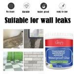 Crack Seal Agent 300gm with Brush Transparent Waterproof Resin Epoxy for Roof Leakage Crack Seal Glue