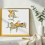 Tropical Trio King Size Pure Cotton Bedsheet