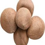 Dried Coconut Premium