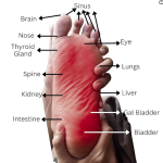 Super Healthy Blood Circulation Acupressure Mat for Feet Yellow | Acupuncture Foot Power Mat | Blood Circulation | Foot Massager | Acupressure (Stand for 1 min - 4 times a day)