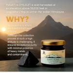 Si Pure Himalayan Shilajit