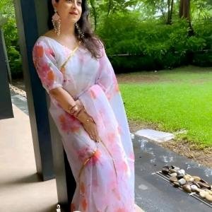 Organza saree