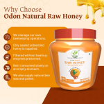 Odon Natural ACACIA RAW HONEY I Intelligence Augmentative I Happy Hormone Enhancer I Raw & Unprocessed-500gm